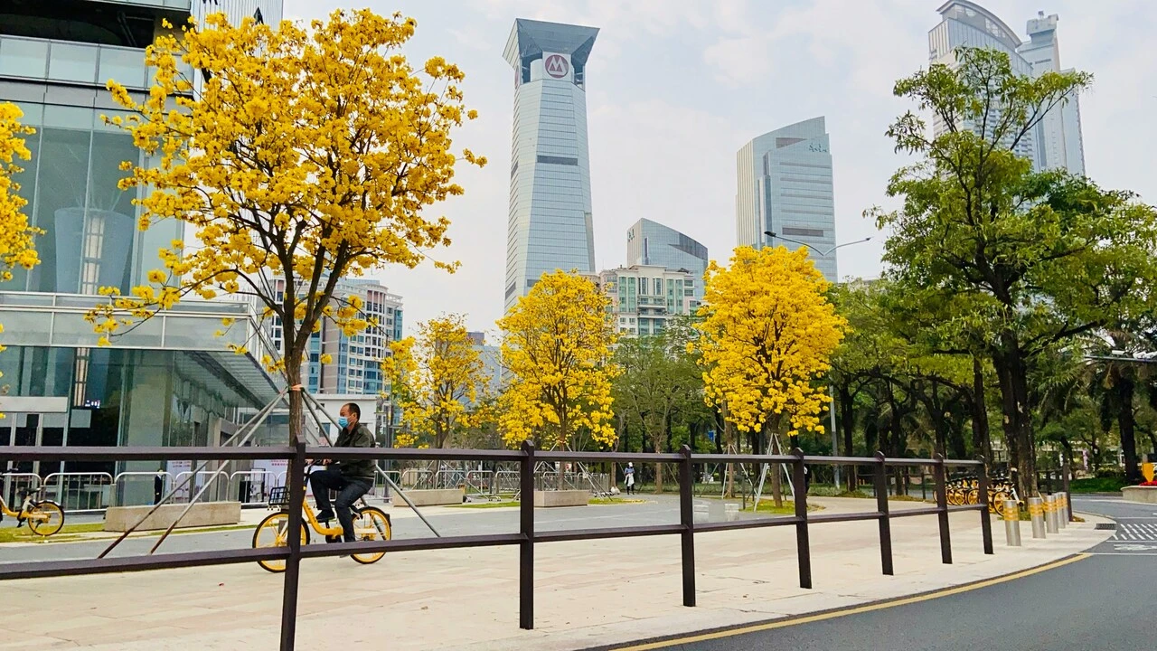 FuTian photo